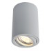 Светильник накладной Arte Lamp Sentry A1560PL-1GY