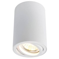 Светильник накладной Arte Lamp Sentry A1560PL-1WH