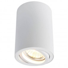 Светильник накладной Arte Lamp Sentry A1560PL-1WH