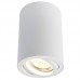 Светильник накладной Arte Lamp Sentry A1560PL-1WH