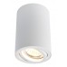 Светильник накладной Arte Lamp Sentry A1560PL-1WH