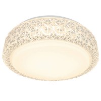 Светильник потолочный светодиодный Arte Lamp A1568PL-1CL