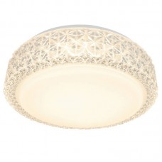 Светильник потолочный светодиодный Arte Lamp A1568PL-1CL