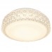 Светильник потолочный светодиодный Arte Lamp A1568PL-1CL
