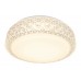 Светильник потолочный светодиодный Arte Lamp A1568PL-1CL