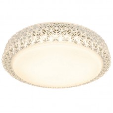 Светильник потолочный светодиодный Arte Lamp A1569PL-1CL