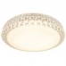Светильник потолочный светодиодный Arte Lamp A1569PL-1CL