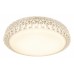 Светильник потолочный светодиодный Arte Lamp A1569PL-1CL