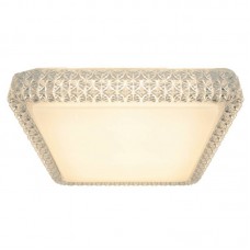 Светильник потолочный светодиодный Arte Lamp A1570PL-1CL
