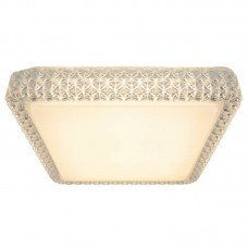 Светильник потолочный светодиодный Arte Lamp A1571PL-1CL