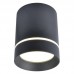 Светильник накладной Arte Lamp Elle A1909PL-1BK