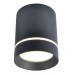 Светильник накладной Arte Lamp Elle A1909PL-1BK