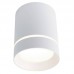 Светильник накладной Arte Lamp Elle A1909PL-1WH