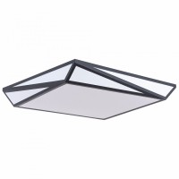 Светильник потолочный Arte Lamp MULTI-PIAZZA A1930PL-1BK