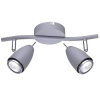 Спот Arte Lamp A1966AP-2GY