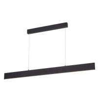 Светильник подвесной Arte Lamp Largo A2505SP-2BK