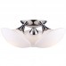 Люстра Arte Lamp A2550PL-3CC Soffione