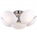 Люстра Arte Lamp A2550PL-6CC Soffione