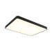 Светильник потолочный Arte Lamp SCENA A2662PL-1BK