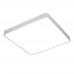 Светильник потолочный Arte Lamp SCENA A2669PL-1WH