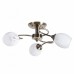 Люстра потолочная Arte Lamp ARYA A2941PL-3AB