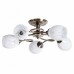 Люстра потолочная Arte Lamp ARYA A2941PL-5AB