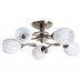 Люстра потолочная Arte Lamp ARYA A2941PL-5AB