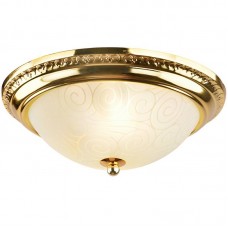 Светильник Arte Lamp A3013PL-2GO FETOLANA