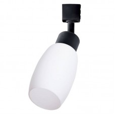 Светильник на однофазной шины Arte Lamp(MIIA) A3055PL-1BK