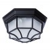Светильник уличный потолочный Arte Lamp PEGASUS A3100PL-1BK