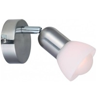Спот Arte Lamp FALENA A3115AP-1SS