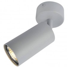 Спот Arte Lamp(AQUARIUS) A3216PL-1GY