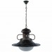Подвесной светильник Arte Lamp Nautilus A3340SP-1BG