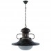 Подвесной светильник Arte Lamp Nautilus A3340SP-1BG