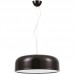 Подвесной светильник Arte Lamp PALEOLUS A3401SP-3BK