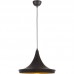 Подвесной светильник Arte Lamp CAPPELLO A3406SP-1BK