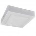 Светильник потолочный светодиодный Arte Lamp ANGOLO A3612PL-1WH