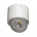 Светильник накладной потолочный светодиодный Arte Lamp A4105PL-1WH