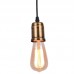Светильник подвесной Arte Lamp A4290SP-1BK