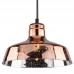 Светильник подвесной Arte Lamp A4297SP-1AC