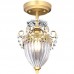 Светильник потолочный Arte Lamp SCHELENBERG A4410PL-1SR