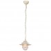 Светильник подвесной Arte Lamp Lanterna A4579SP-1WG