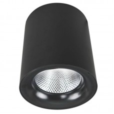 Светильник накладной Arte Lamp Facile A5112PL-1BK