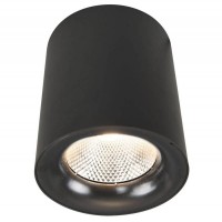 Светильник накладной Arte Lamp Facile A5118PL-1BK