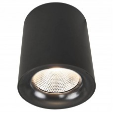 Светильник накладной Arte Lamp Facile A5118PL-1BK
