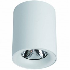 Светильник накладной потолочный светодиодный Arte Lamp FACILE A5130PL-1WH