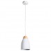Светильник подвесной Arte Lamp TALLI A5167SP-1WH