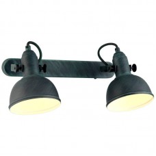 Спот Arte Lamp A5213AP-2BG MARTIN