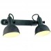 Спот Arte Lamp MARTIN A5213AP-2BG