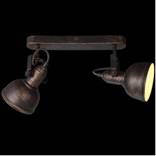 Спот Arte Lamp Martin A5213AP-2BR